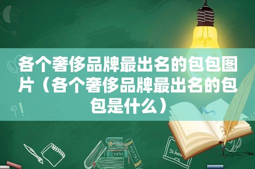 各个奢侈品牌最出名的包包图片（各个奢侈品牌最出名的包包是什么）