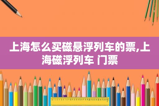 上海怎么买磁悬浮列车的票,上海磁浮列车 门票
