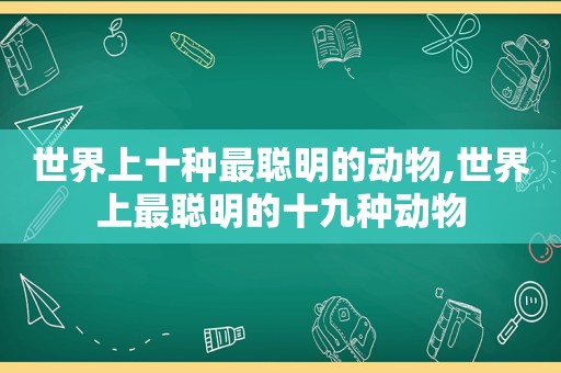 世界上十种最聪明的动物,世界上最聪明的十九种动物