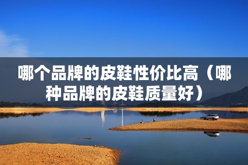 哪个品牌的皮鞋性价比高（哪种品牌的皮鞋质量好）