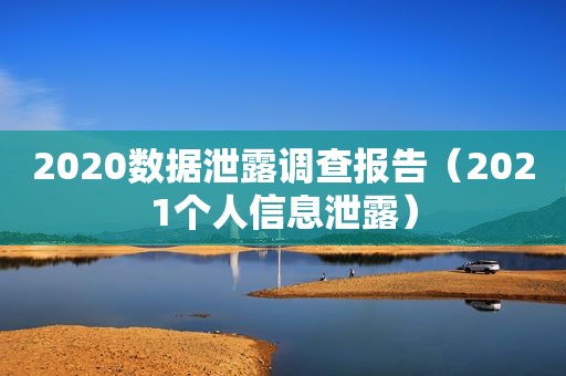 2020数据泄露调查报告（2021个人信息泄露）
