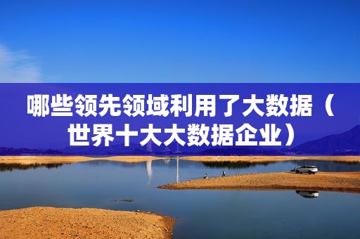 哪些领先领域利用了大数据（世界十大大数据企业）