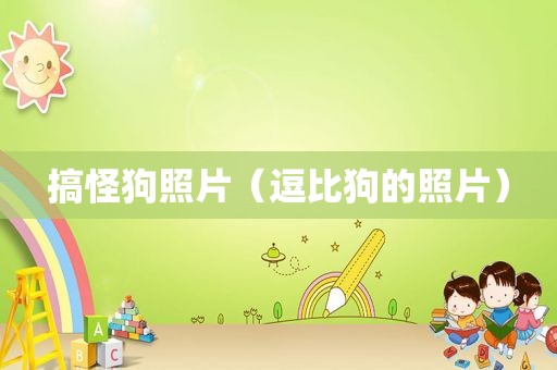 搞怪狗照片（逗比狗的照片）