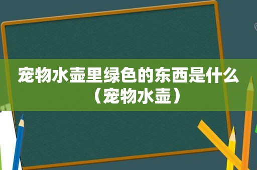 宠物水壶里绿色的东西是什么（宠物水壶）
