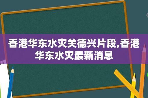 香港华东水灾关德兴片段,香港华东水灾最新消息