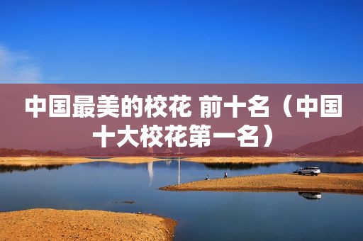 中国最美的校花 前十名（中国十大校花第一名）