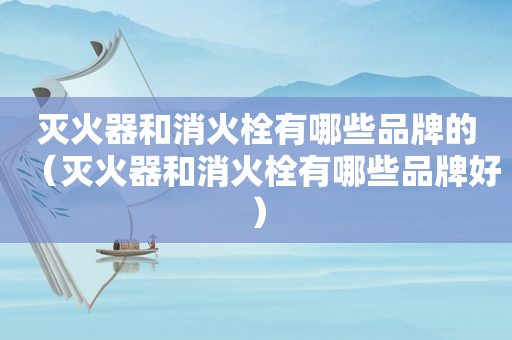 灭火器和消火栓有哪些品牌的（灭火器和消火栓有哪些品牌好）