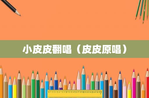 小皮皮翻唱（皮皮原唱）