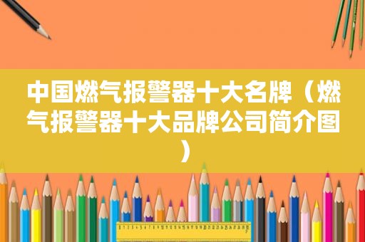 中国燃气报警器十大名牌（燃气报警器十大品牌公司简介图）