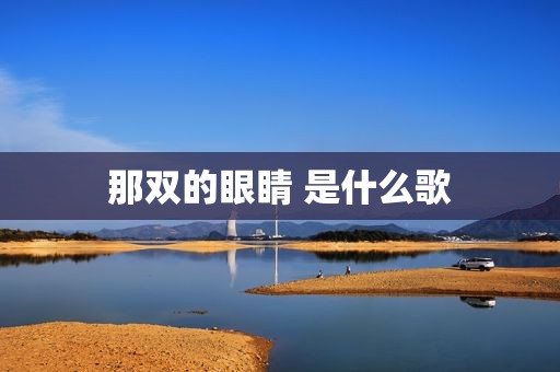 那双的眼睛 是什么歌