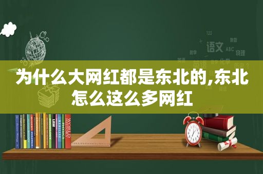 为什么大网红都是东北的,东北怎么这么多网红