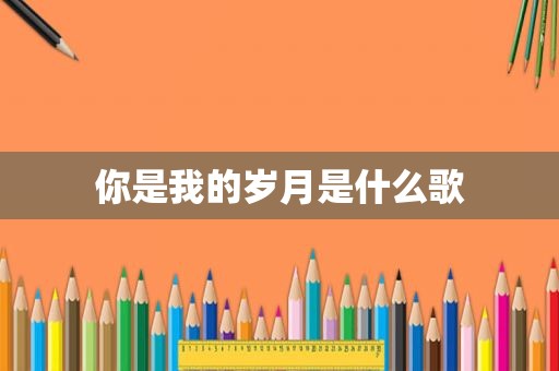 你是我的岁月是什么歌