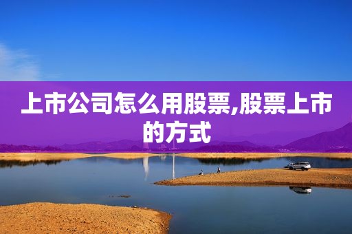 上市公司怎么用股票,股票上市的方式