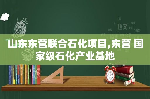 山东东营联合石化项目,东营 国家级石化产业基地
