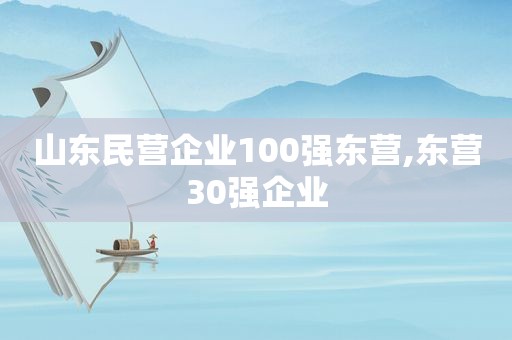 山东民营企业100强东营,东营30强企业