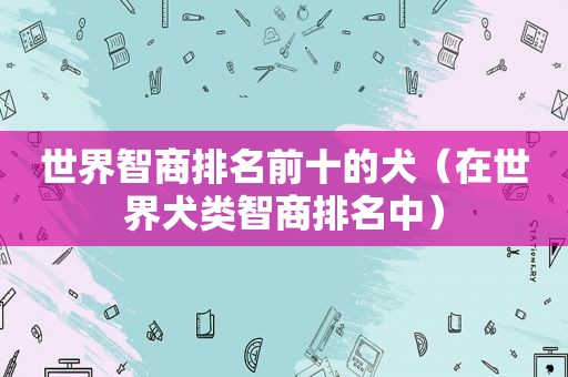 世界智商排名前十的犬（在世界犬类智商排名中）