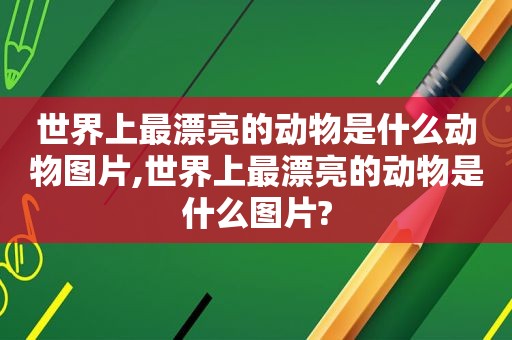 世界上最漂亮的动物是什么动物图片,世界上最漂亮的动物是什么图片?