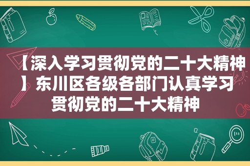 【深入学习贯彻党的二十大精神】东川区各级各部门认真学习贯彻党的二十大精神