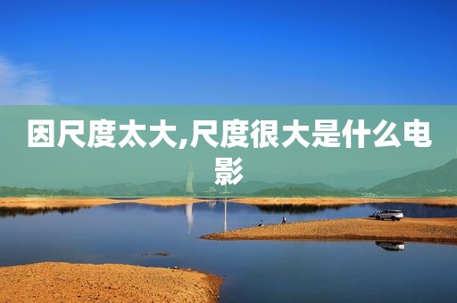 因尺度太大,尺度很大是什么电影