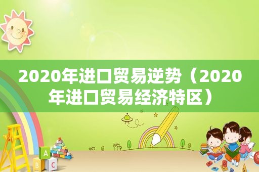 2020年进口贸易逆势（2020年进口贸易经济特区）