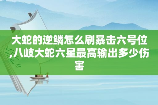 大蛇的逆鳞怎么刷暴击六号位,八岐大蛇六星最高输出多少伤害