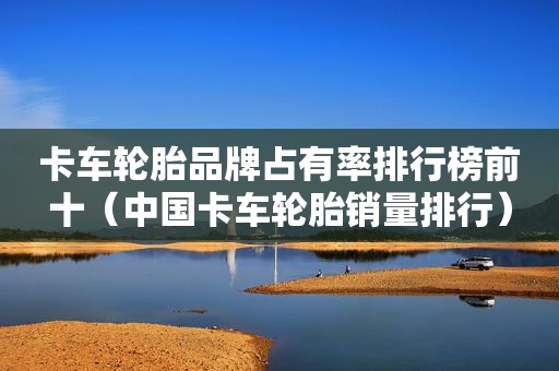 卡车轮胎品牌占有率排行榜前十（中国卡车轮胎销量排行）