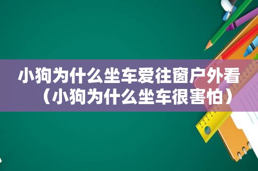 小狗为什么坐车爱往窗户外看（小狗为什么坐车很害怕）
