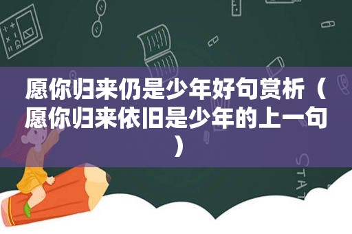 愿你归来仍是少年好句赏析（愿你归来依旧是少年的上一句）