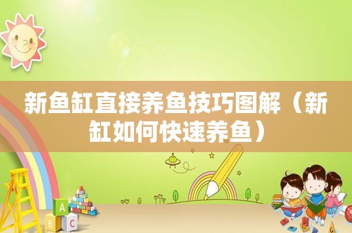 新鱼缸直接养鱼技巧图解（新缸如何快速养鱼）