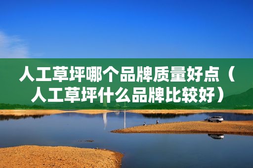 人工草坪哪个品牌质量好点（人工草坪什么品牌比较好）