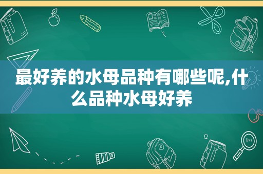 最好养的水母品种有哪些呢,什么品种水母好养