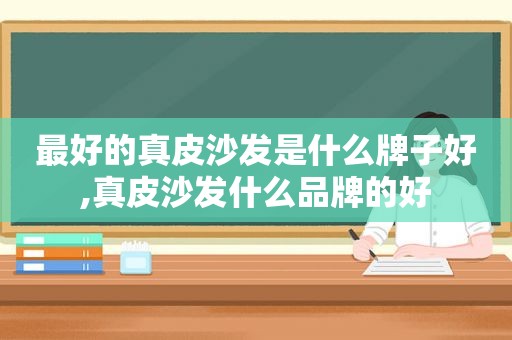 最好的真皮沙发是什么牌子好,真皮沙发什么品牌的好