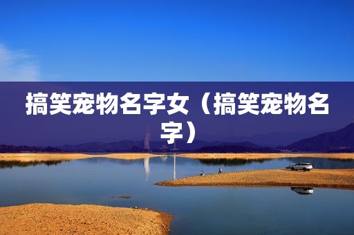 搞笑宠物名字女（搞笑宠物名字）