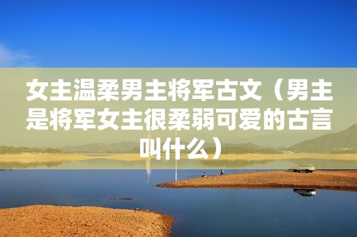 女主温柔男主将军古文（男主是将军女主很柔弱可爱的古言叫什么）