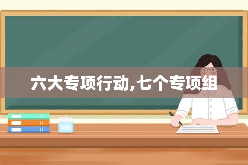 六大专项行动,七个专项组
