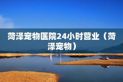 菏泽宠物医院24小时营业（菏泽宠物）