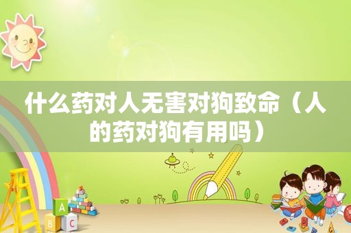 什么药对人无害对狗致命（人的药对狗有用吗）