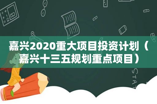 嘉兴2020重大项目投资计划（嘉兴十三五规划重点项目）