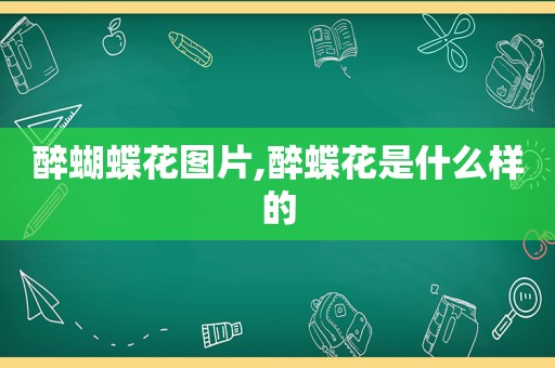 醉蝴蝶花图片,醉蝶花是什么样的