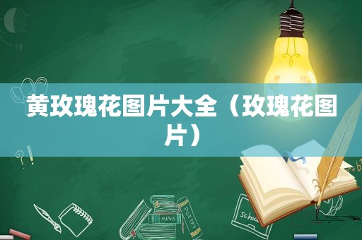 黄玫瑰花图片大全（玫瑰花图片）