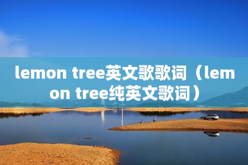 lemon tree英文歌歌词（lemon tree纯英文歌词）