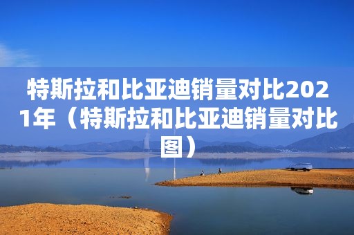 特斯拉和比亚迪销量对比2021年（特斯拉和比亚迪销量对比图）