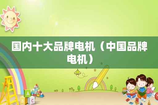 国内十大品牌电机（中国品牌电机）
