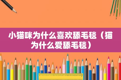 小猫咪为什么喜欢舔毛毯（猫为什么爱舔毛毯）