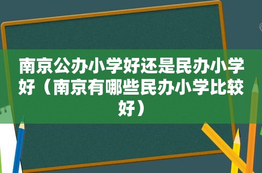 南京公办小学好还是民办小学好（南京有哪些民办小学比较好）