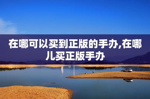 在哪可以买到正版的手办,在哪儿买正版手办