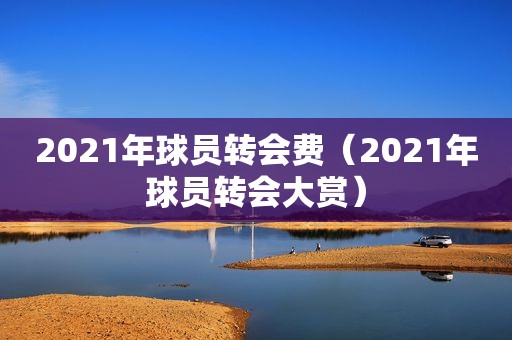 2021年球员转会费（2021年球员转会大赏）