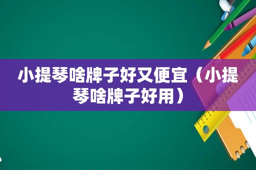 小提琴啥牌子好又便宜（小提琴啥牌子好用）