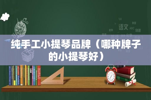 纯手工小提琴品牌（哪种牌子的小提琴好）