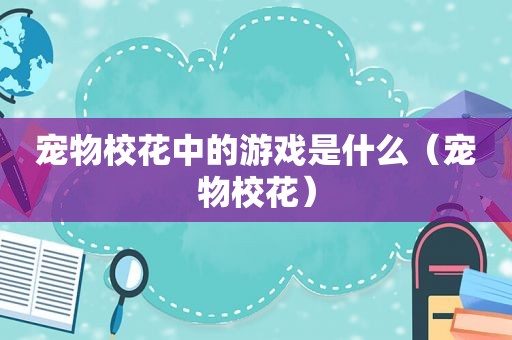 宠物校花中的游戏是什么（宠物校花）